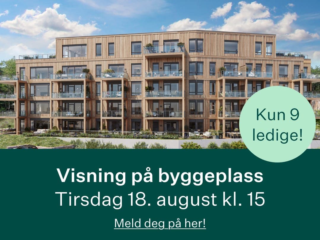 Et bilde som er lagt til i innlegget.